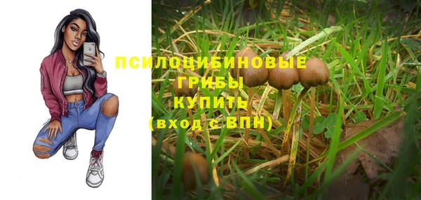 а пвп мука Нея
